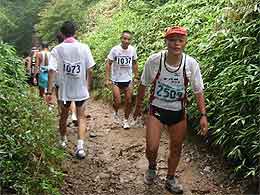���삳�������������