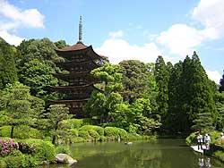 �ڗ�����