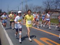 ����������L�X�T�q